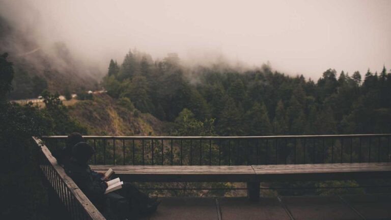 Is There A Genuine 11Xplay Hack Tool?